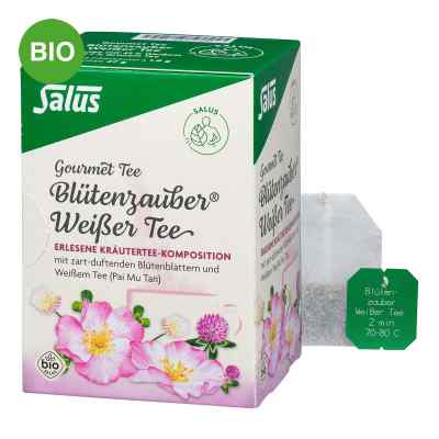 Salus thé blanc Blütenzauber bio sachets filtrants (15 sachets)
