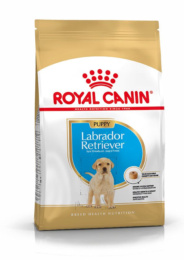 Royal Canin Labrador Retriever Puppy – Croquettes pour chiots jusqu'à 15 mois