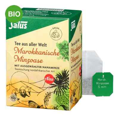 Salus Oasis de menthe marocaine bio en sachets filtrants (15 pièces)