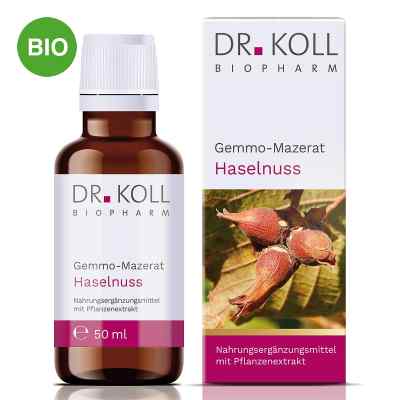 Dr. Koll gemmomacérat de noisetier gouttes (50 ml)