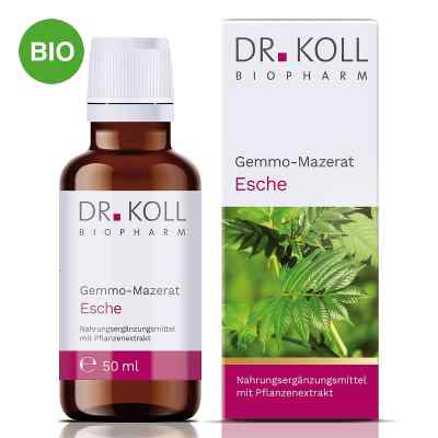 Dr. Koll Gemmo-Mazerat Frêne gouttes (50 ml)