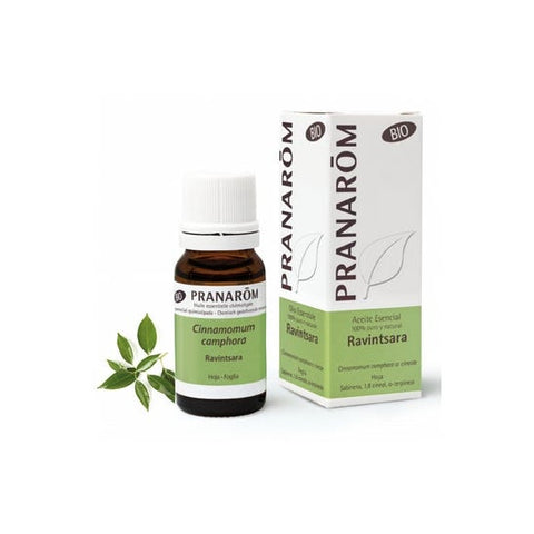 Pranarôm Ravintsara Qt Cineol BIO 10 ml