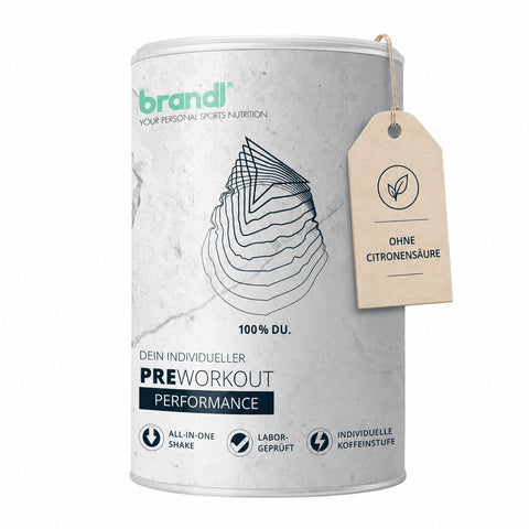 Brandl Nutrition Preworkout Performance Orange Level 3 Powder (500 g)