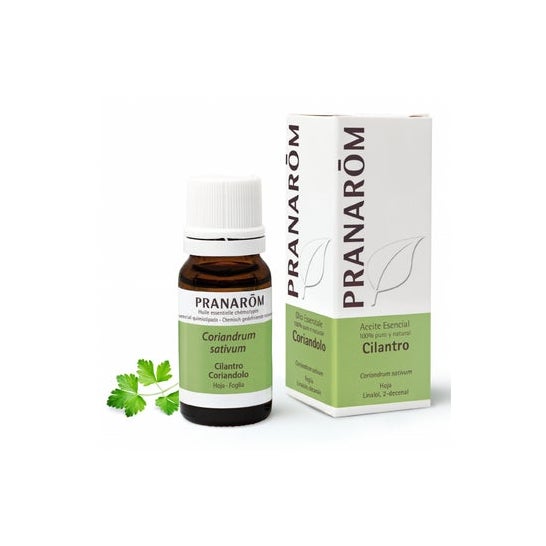 Pranarôm Huile essentielle Coriandre (10 ml)