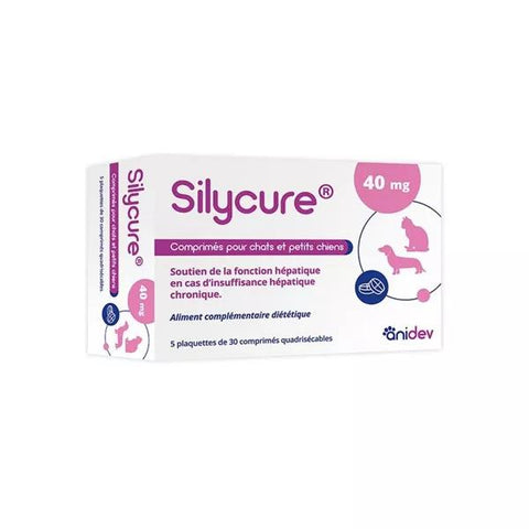 Anidev Silycure 40mg 150 Tablets