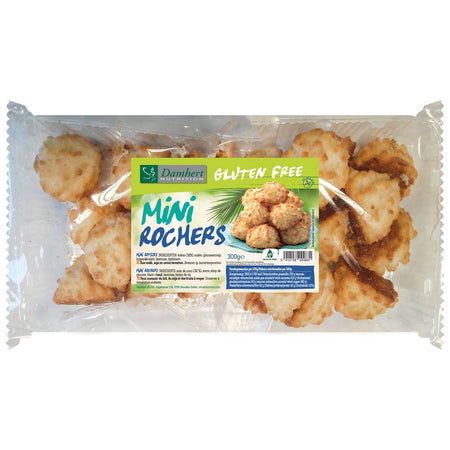 Damhert Mini Rochers Coco sans gluten (300 g)