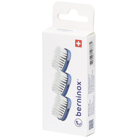 Berninox 3 x têtes de brosse de rechange bleu océan medium