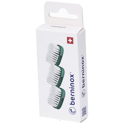BERNINOX® 3 x têtes de brosse de rechange Vert Atlantique Medium