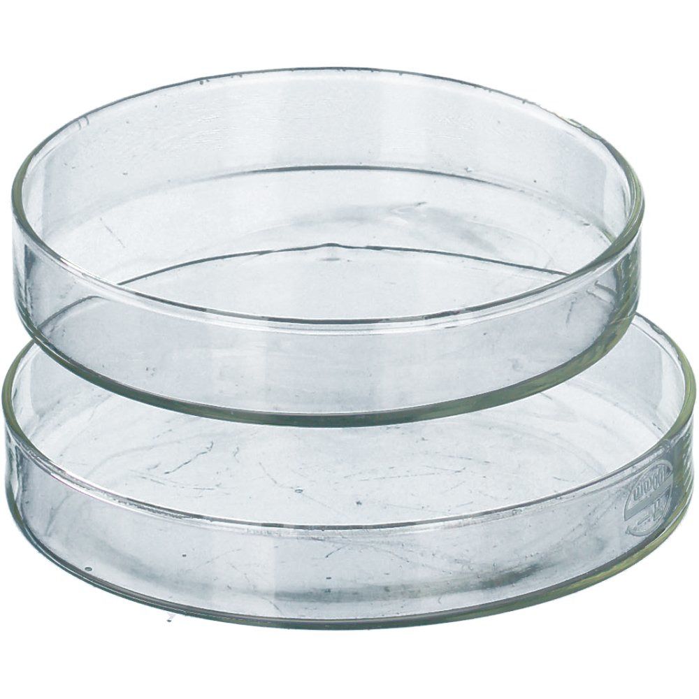 Boîte de Petri 10 cm — 1 pièce