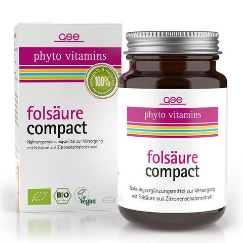 GSE phyto vitamins acide folique Compact (120 pièces)