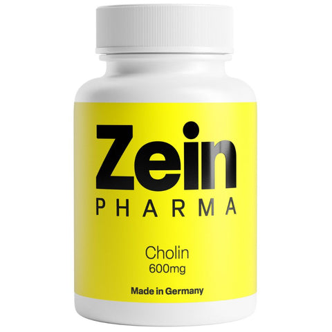 ZeinPharma Choline 600mg (60 capsules)