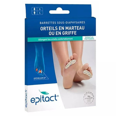 Epitact Barrettes Sous Diaphysaires Epithelium Femme