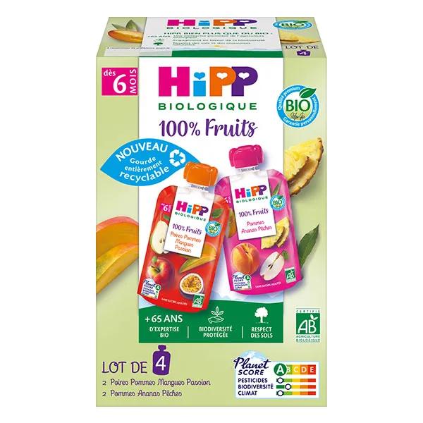 Hipp Gourdes 100% Fruits 2 variétés A 6 mois 4x90g