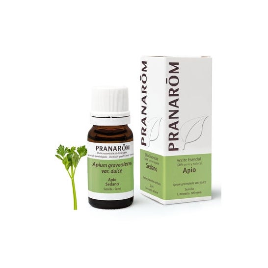 Pranarôm Huile essentielle de céleri (10 ml)