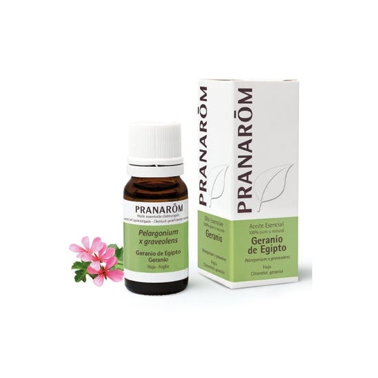 Pranarôm Huile essentielle de Géranium (10 ml)