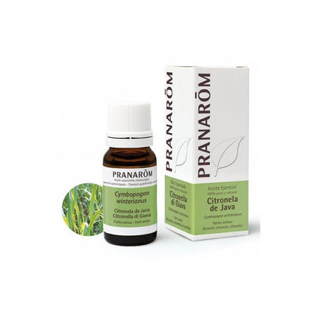 Pranarôm Huile essentielle Citronnelle de Java (10 ml)