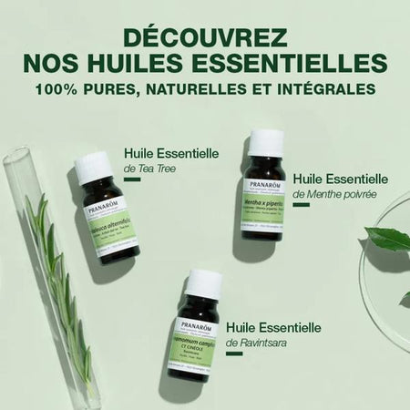 Pranarom Huile Essentielle Menthe Poivrée Bio 30 ml