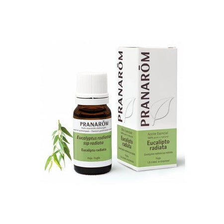 Pranarôm Eucalyptus Radiat Ac essence (10 ml)