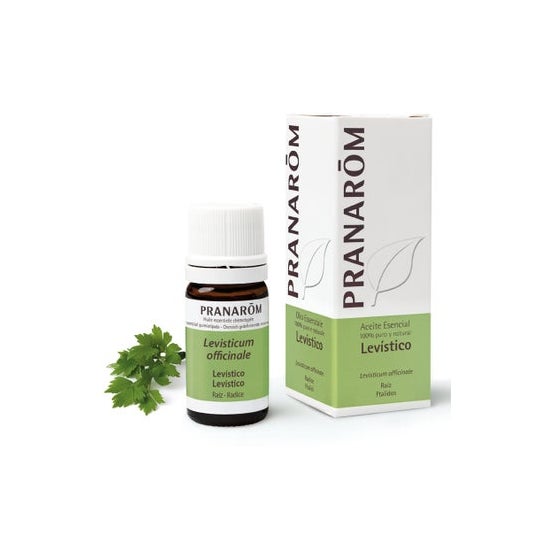 Pranarôm Livèche racine huile essentielle (5 ml)