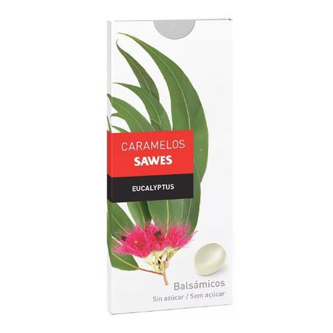 Sawes Bonbons Blister Sans Sucre Goût Eucalyptus 22g