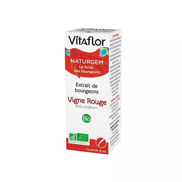 Vitaflor Extrait de Bourgeons Bio Vigne Rouge (15 ml)