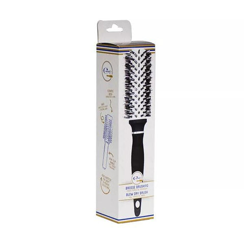 Vitry Brosse Brushing Taille Moyenne