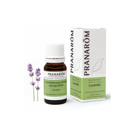 Pranarôm Huile essentielle Lavande (10 ml)