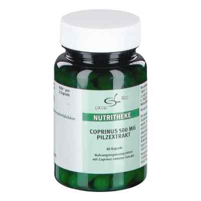 11 A Nutritheke GmbH Coprinus 500mg extrait de champignon (60 pièces)