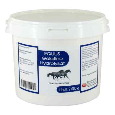 Berco-ARZNEIMITTEL Hydrolysat de gélatine Equus poudre vétérinaire (2000 g)