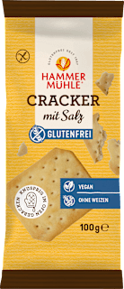 Hammermühle Cracker avec sel, sans gluten (100 g)