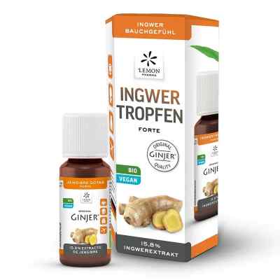 Hager Pharma Gingembre Ginjer forte gouttes (20 ml)