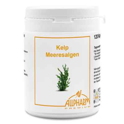 Allpharm Kelp seaweed Premium capsules (120 pieces)