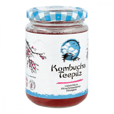 Hecht-Pharma GmbH Kombucha tea mushroom (1 piece)