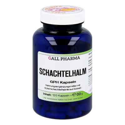 Hecht-Pharma GmbH Prêle gélules (120 pièces)