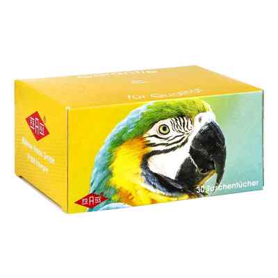 Büttner-Frank GmbH Boîte de mouchoirs 30 pièces (1 pièce)