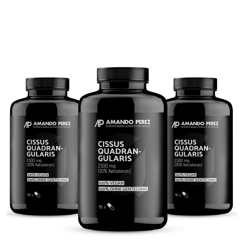 Vitabay Cissus Quadrangularis Extrait 2500 mg (270 pièces)