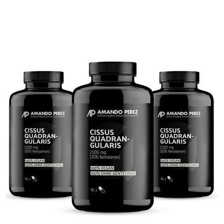 Vitabay Cissus Quadrangularis Extrait 2500 mg (270 pièces)