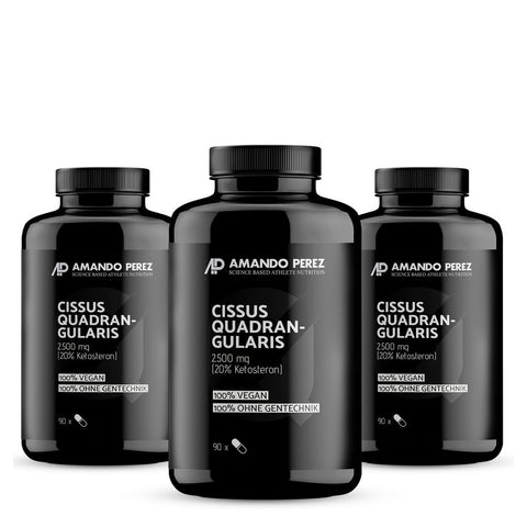 Vitabay Cissus Quadrangularis Extrait 2500 mg (270 pièces)