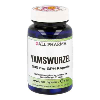 Hecht-Pharma igname sauvage 500 mg Gph gélules (60 pièces)